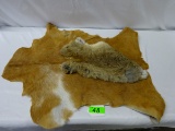 TWO ANIMAL HIDES, RABBIT AND ANTELOPE