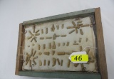 DISPLAY OF CRINOID STEM FOSSILS