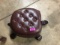 LEATHER & WOOD TURTLE FOOT STOOL