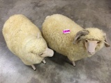 MALE AND FEMALE SHEEP LIFE SIZE TOYS