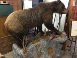 FULL SIZE GRIZZLY MOUNT, ON WHEELS