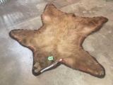 TAXIDERMY MOUNTED BLACK BEAR RUG FROM CODY, WYOMING