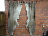 COWHIDE CURTAINS