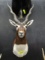 BLACK BUCK SHOULDER MOUNT