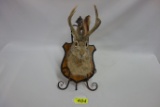 JACKALOPE WALL MOUNT