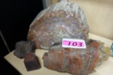 (4) PIECES OF PETRIFIED WOOD, LARGEST IS 10