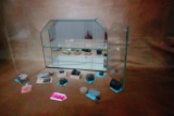 GLASS DISPLAY CASE WITH MINERALS: