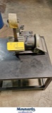 ANTARES INSTRUMENTS CUTTER GRINDER FSS/2