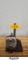 BAUSCH & LOMB MICROSCOPE