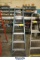 6' WERNER MODEL 6006 LADDER