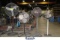 LOT OF (4) ASSORTED PEDESTAL FANS