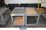 LOT OF (2) UTILITY CARTS