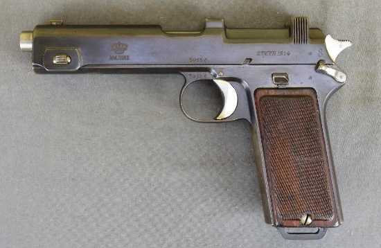 STEYR MODEL 1911