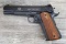 GERMAN SPORT GUNS MODEL 1911