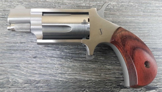 NORTH AMERICAN ARMS MODEL 22M