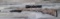 WEATHERBY MODEL VANGUARD