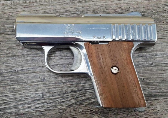 RAVEN ARMS MODEL P25