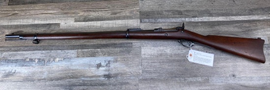 SPRINGFIELD MODEL 1884