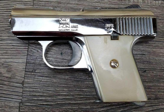 RAVEN ARMS MODEL MP25
