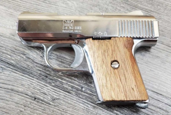 RAVEN ARMS MODEL MP25