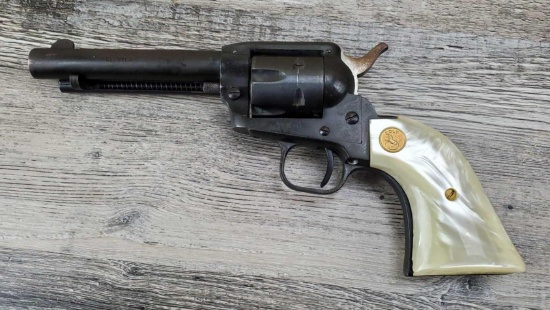RG INDUSTRIES MODEL SAA
