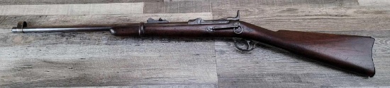 SPRINGFIELD MODEL 1873 CARBINE