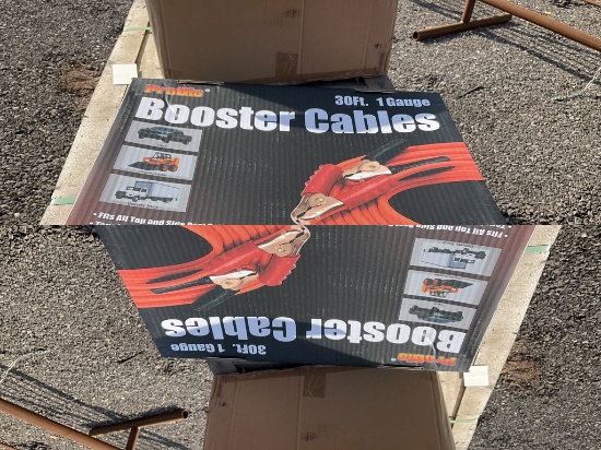 30ft 1Gauge Booster Cable