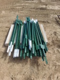 Qty 50 5.5ft T-Posts