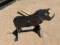 Metal Boar Target