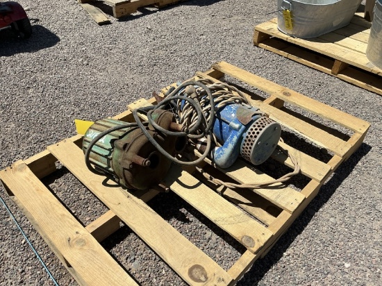 (2) Water Pumps