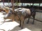 BULL STATUE