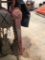 RATCHET CHAIN HOIST (WORKING CONDITION)