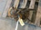 GROUP OF C-CLAMPS