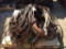 PALLET-OXYGEN & ACETYLENE HOSES