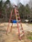 10ft LOUISVILLE FIBER GLASS STEP LADDER