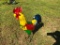MULTI-COLOR ROOSTER YARD ART R1