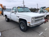 1987 CHEVROLET CUSTOM DELUXE 10 PICKUP