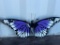 METAL BUTTERFLY WALL ART DECOR (PURPLE)