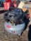 FORTRESS 6 GAL AIR COMPRESSOR **RETURNS/OVERSTOCKS