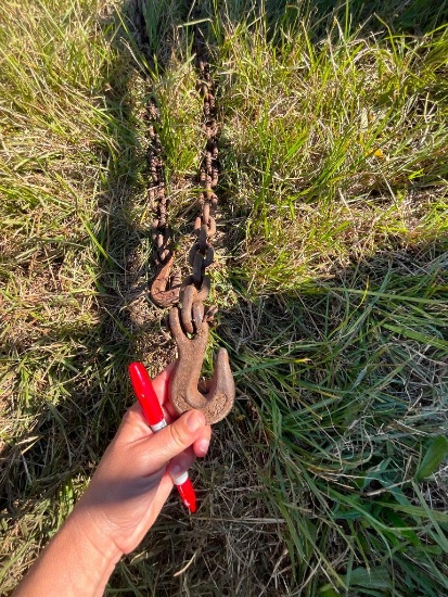 20' LOG CHAIN