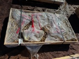 UNUSED LANDHONOR 9200 LB RATCHET BINDERS AND G70 CHAINS (5 BINDERS, 10 CHAINS, 3/8 INCH G70 CHAINS,