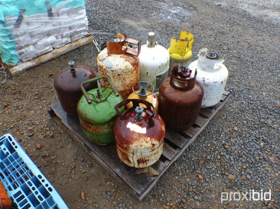 Pallet 10 Propane Tanks