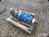 Goulds Model #3656 Electric Water Pump