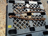 One 16-Foot Chain With Hooks