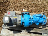 Goulds Model # 3656 Electric Water Pump