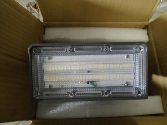 Two ecoPower Wall-Mounted Flood Lights