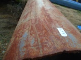 One Piece of Steel Pipe