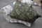 MARY JANES FURNITURE BIG FATTY PILLOW WITH MARIJUANA LEAF PRINT