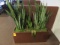 36'' X 14'' PLANTER BOX & PLANTS