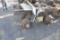 TANDEM AXLE SLIDER TRAILER ASSEMBLY AIR RIDE